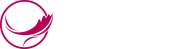 必赢626net